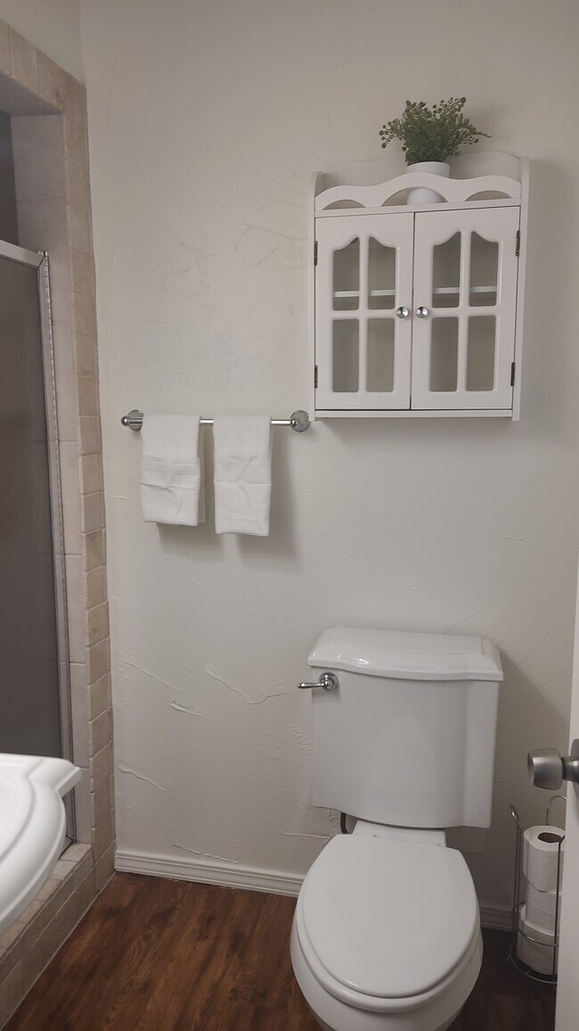 Master Bathroom - 9101 S Winston Way