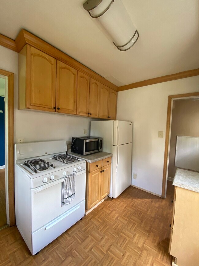 Kitchen with gas stove, microwave, and fridge - 3915 Aldrich Ave N