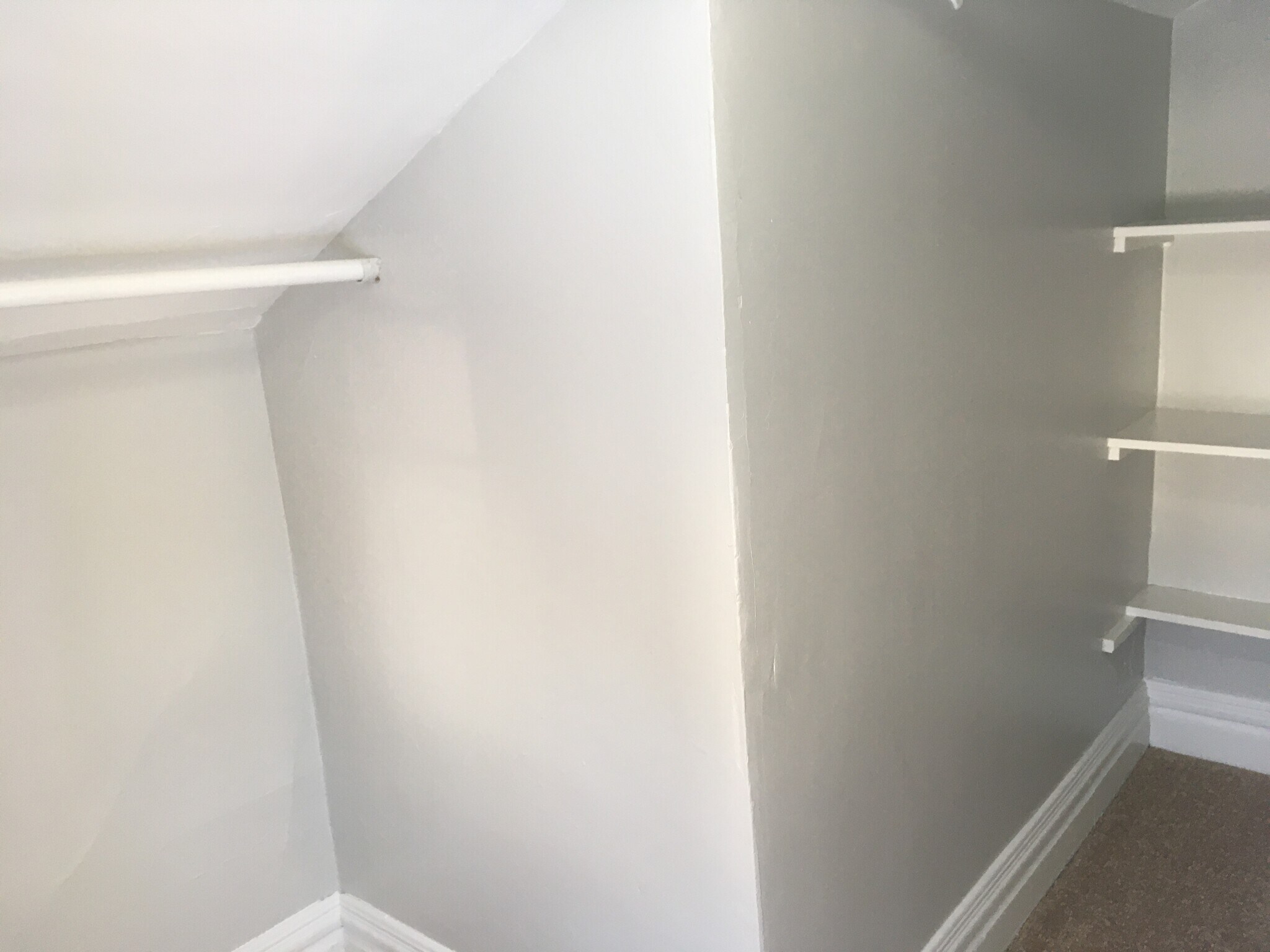 Walk in closet - 219 W Oakland Ave