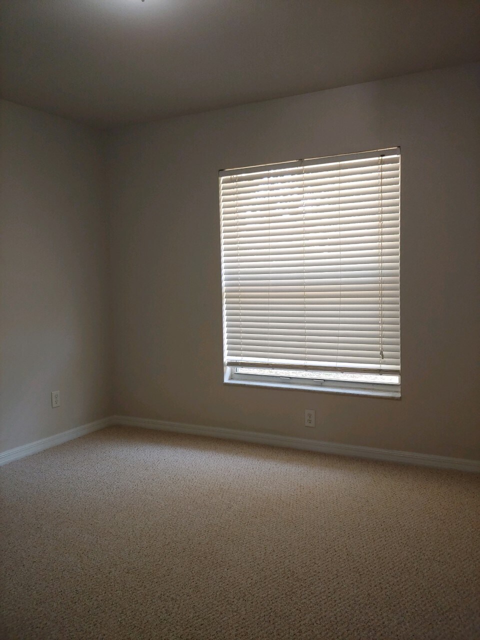 Building Photo - 1163 N Lion Cub Pt