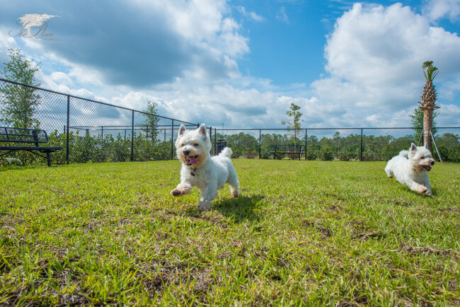 Dog Park - 17576 Kinzie Ln