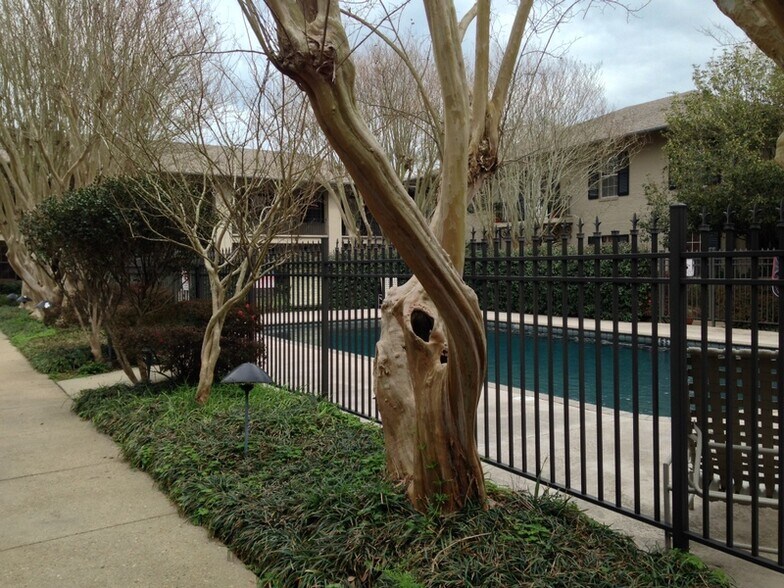 Building Photo - 213 Bendel Rd