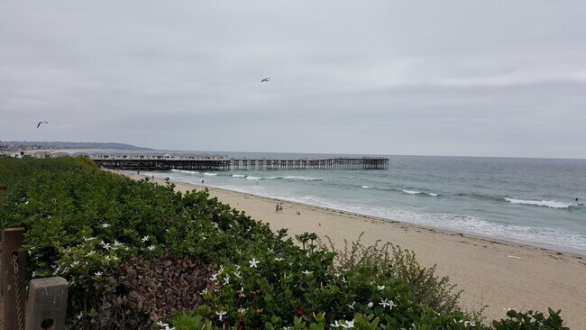 Building Photo - Beach Front Complex!!