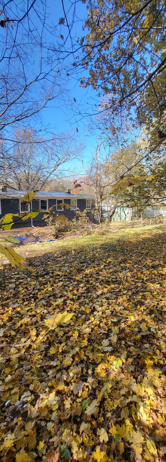 Building Photo - 56 Victory Dr