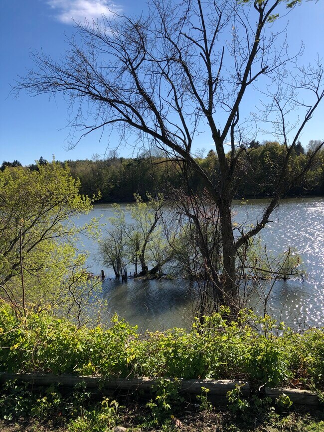 River view - 3923 County Route 57