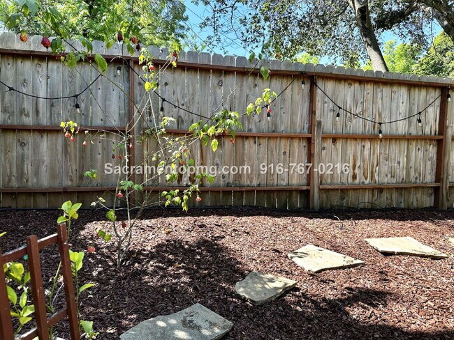 Building Photo - 1283 Live Oak Ln