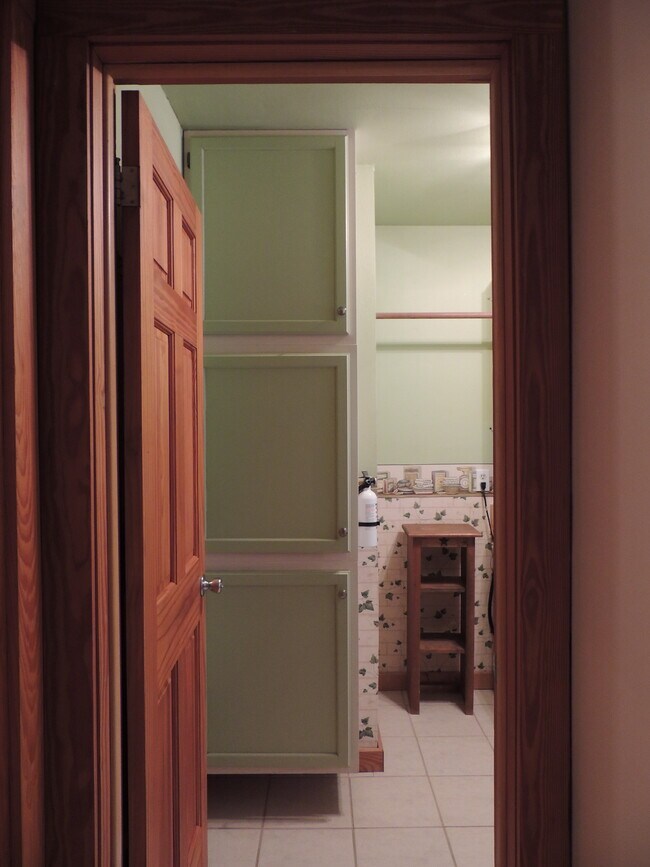 Laundry Room storage - 910 Perry Ln