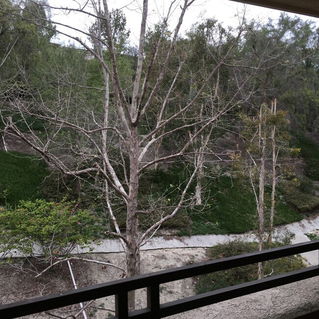 Building Photo - FURNISHED  1 bed/ 1 bath updated home in Aliso Viejo w/Fireplace