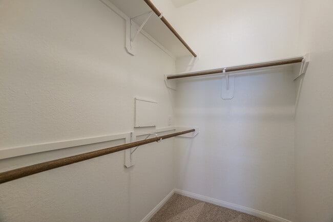 Building Photo - 23650 Buttress Root Dr