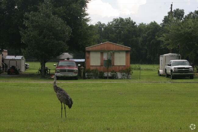 Building Photo - Triple T Mobile Home Park