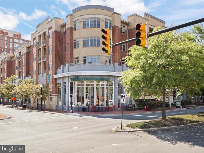 Building Photo - 309 Holland Ln