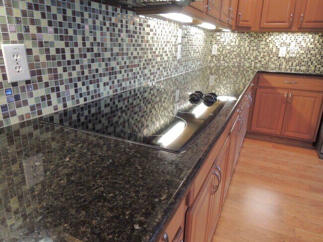 kitchen - 508 Sang Saloon Rd