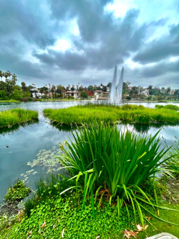 Building Photo - 1072 Laguna Ave