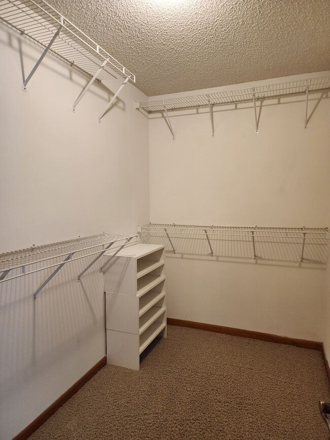 Building Photo - Step into luxury living with this stunning residence!