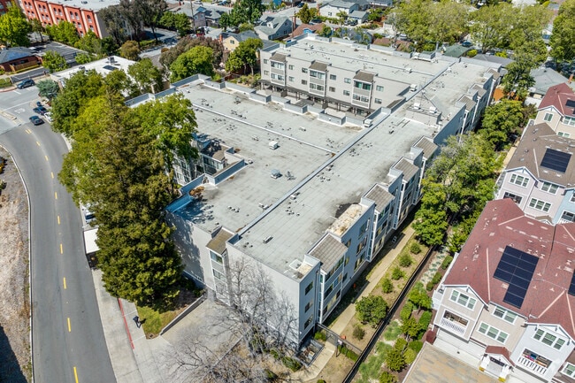 Primary - 240 N Bayshore Blvd