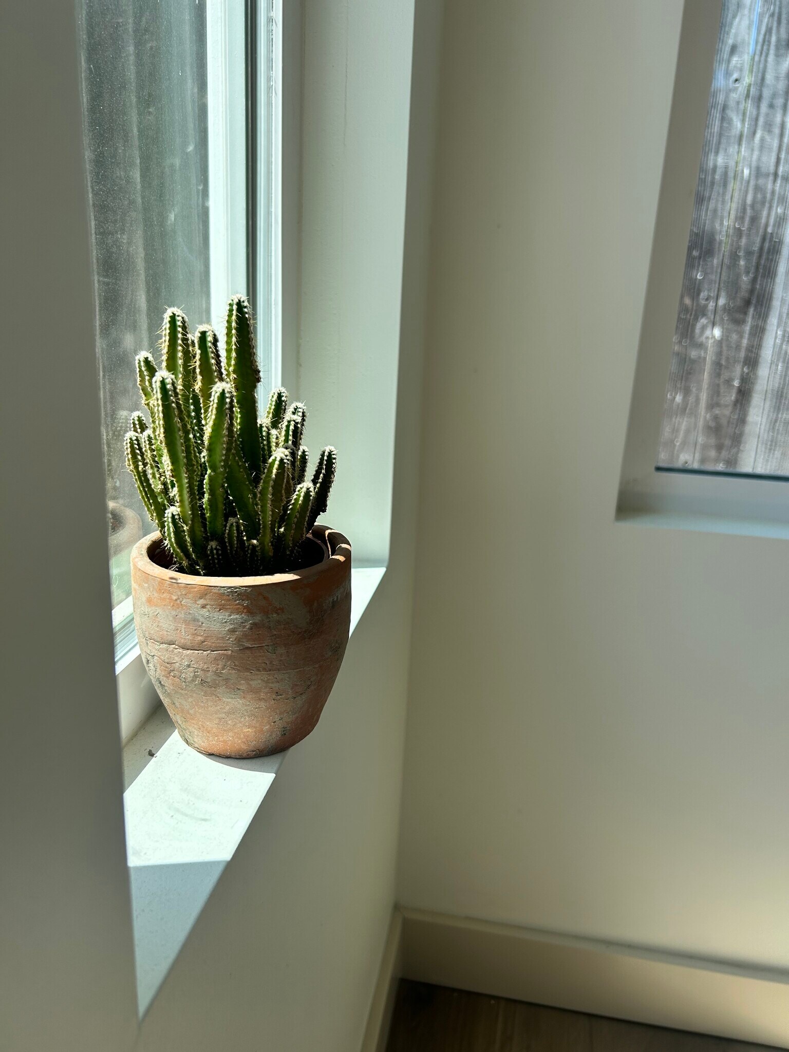 Building Photo - 7822 Toland Ave