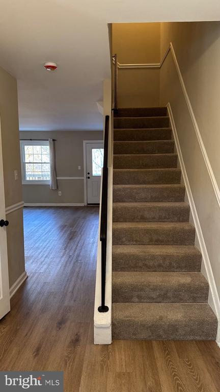 Building Photo - 1649 Forest Hill Ct