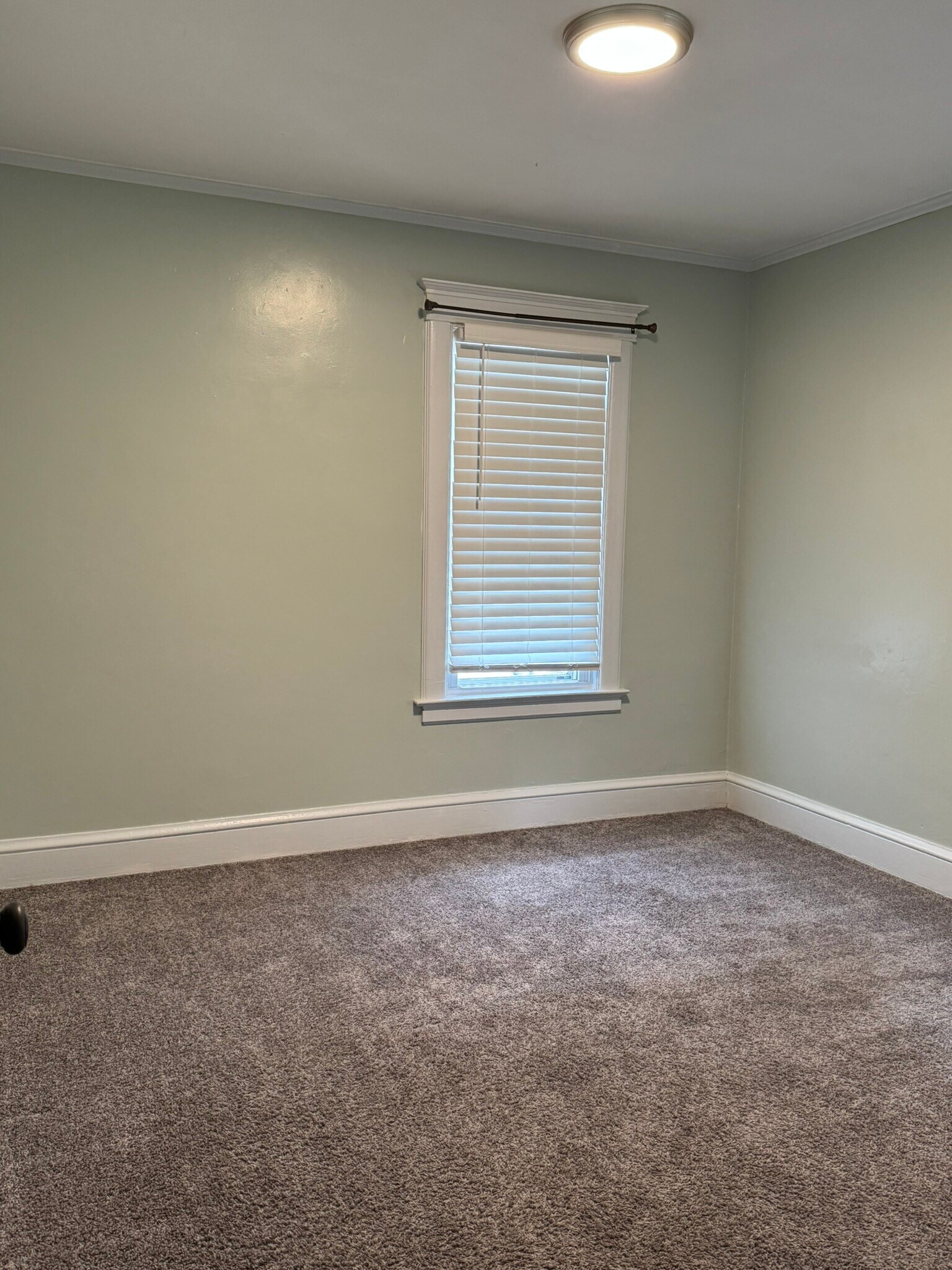 Building Photo - 37 Mountford St