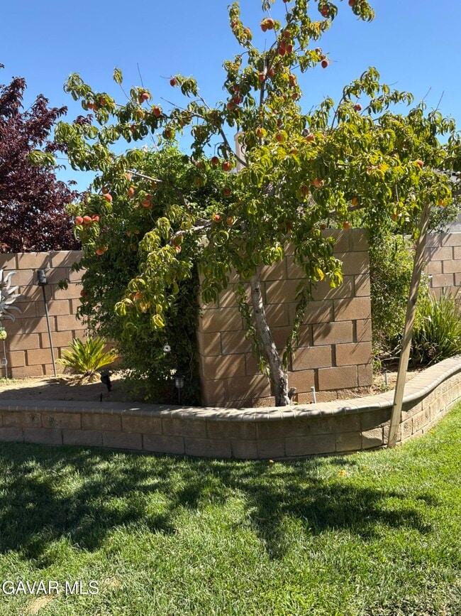 Building Photo - 2751 Trudeau Ln