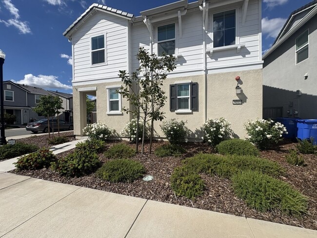 Building Photo - 8213 Ocho Wy