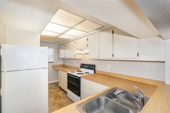 Building Photo - New Renovated Condo
