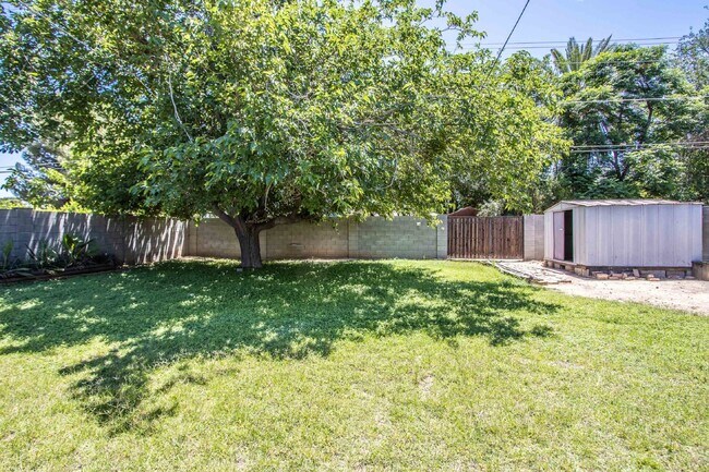 Building Photo - 3Br in historic disctric, 32nd St/Ind. Sch...