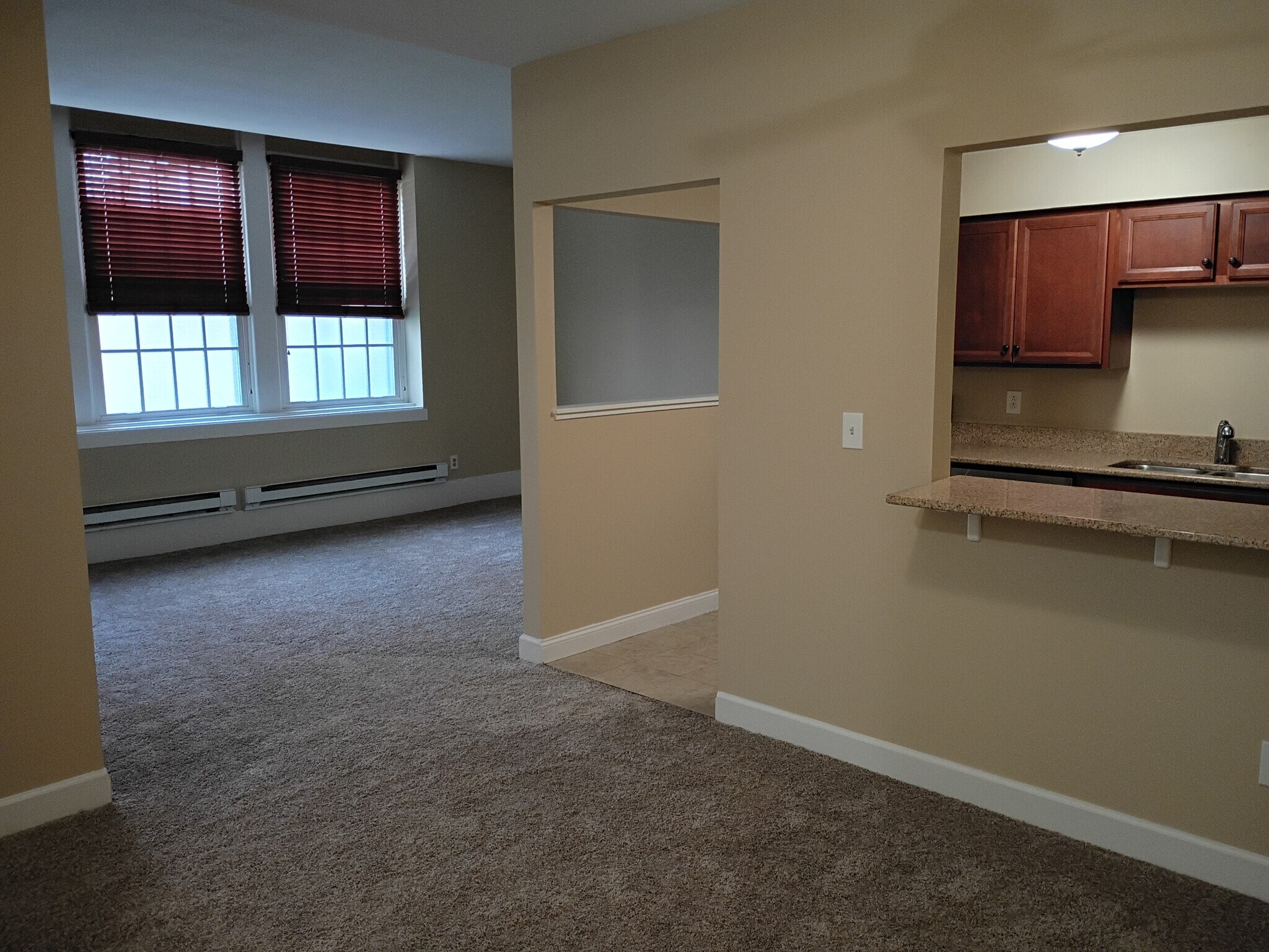 Living Room - 917 Madison St