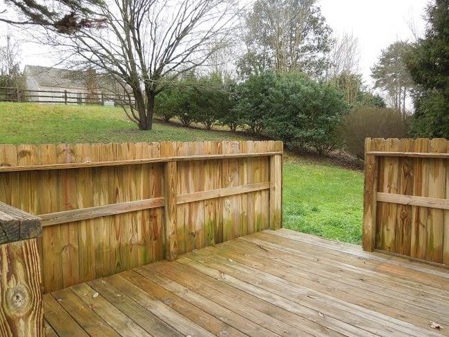 Building Photo - 1019 Brenham Ln