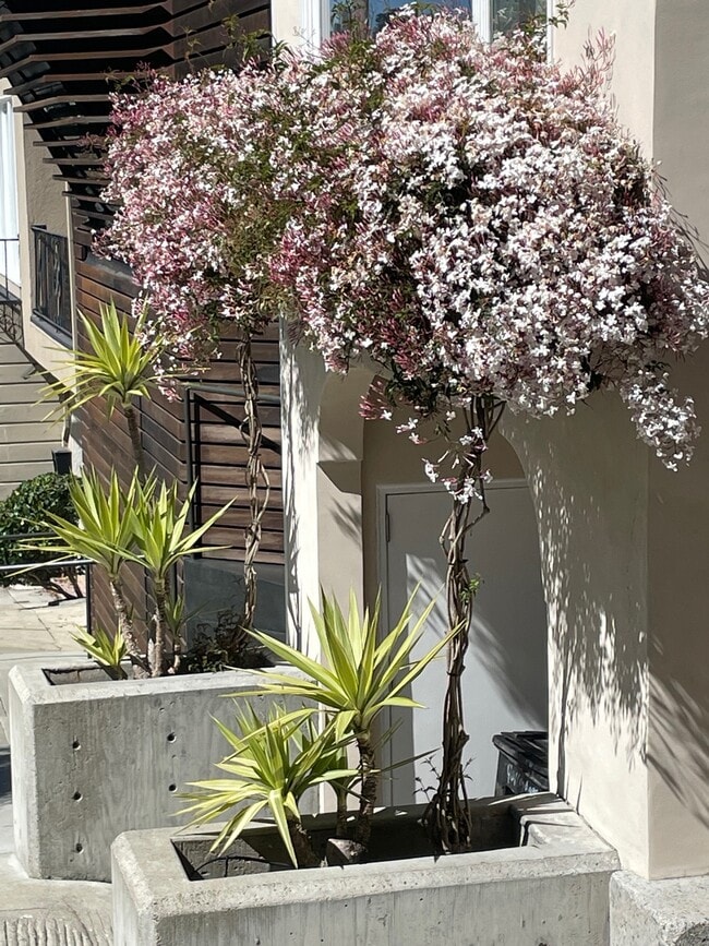 Building Photo - 408 Lombard St