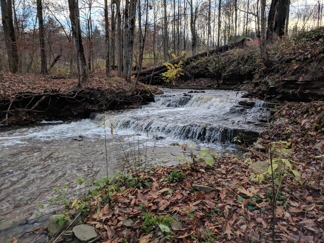 Back creek - 419 King Rd E