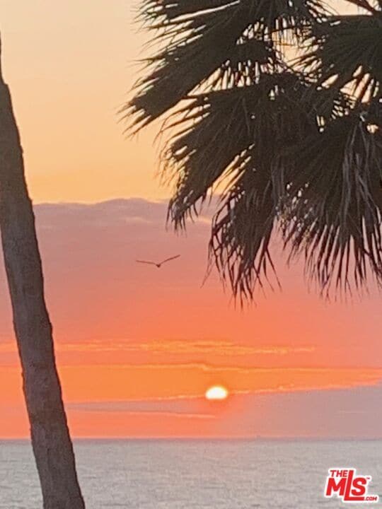 Building Photo - 11942 Whitewater Ln