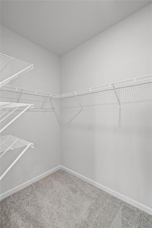 Building Photo - 61 Grv Spgs Ct