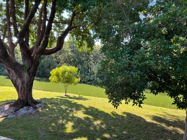 Primary Photo - 87 Windsor D