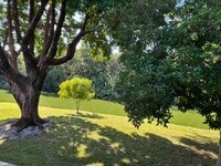 Building Photo - 87 Windsor D