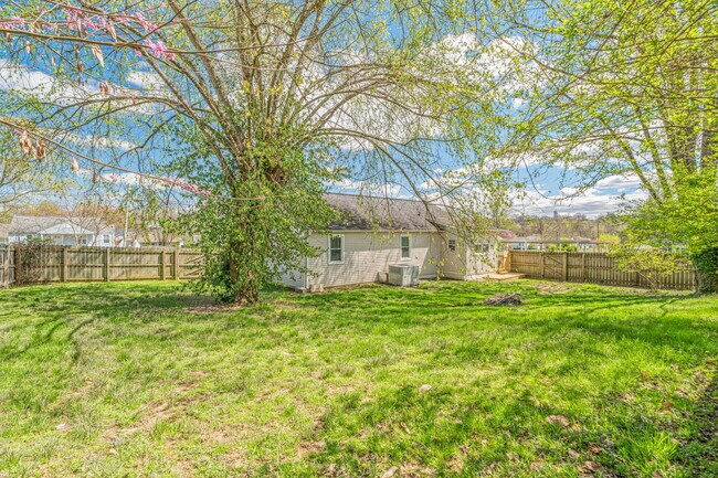 Building Photo - 3701 Vera Dr