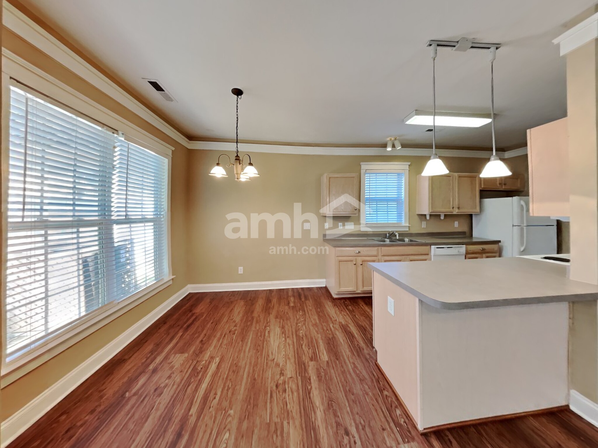 Building Photo - 528 Catawba Ave