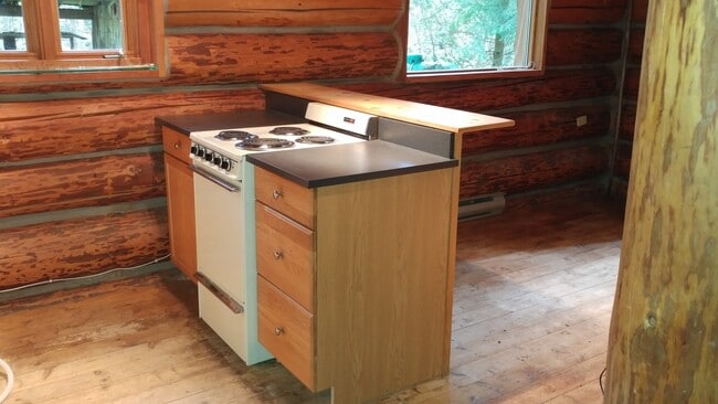 Building Photo - Rustic Log Home In the Woods!