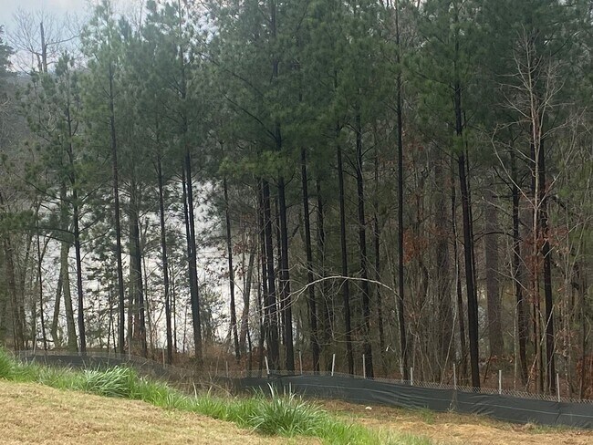 Building Photo - Be the First to Live in This Stunning Brand New Home!