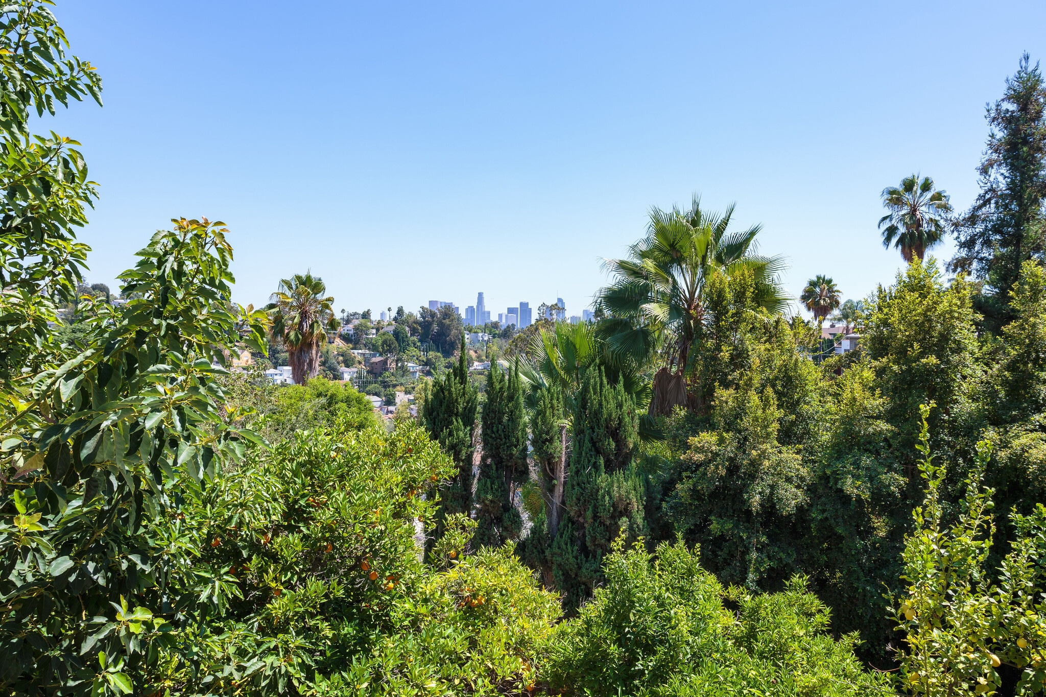 LA View - 1724 Rotary Dr