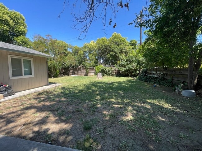 Building Photo - Great 5 bedroom house with large yard a block from campus available for September move in!