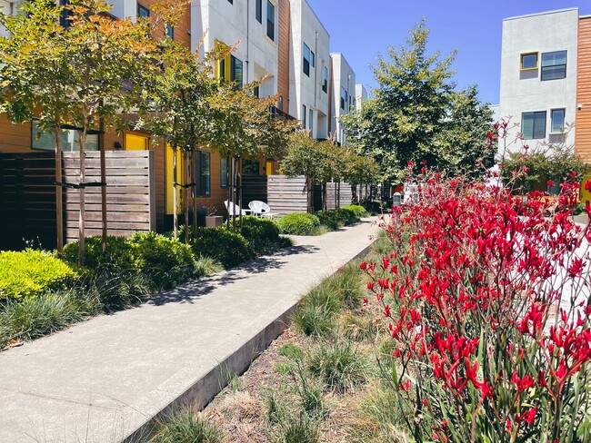 Courtyard path to property - 1417 Prescott St