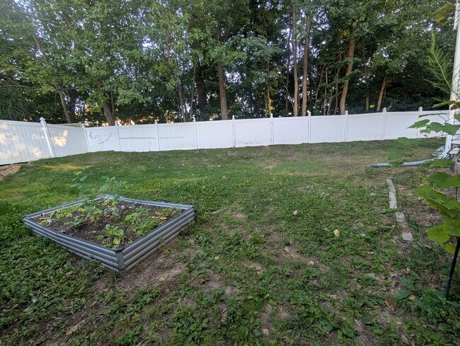 Side Yard - 2 Marc Ct