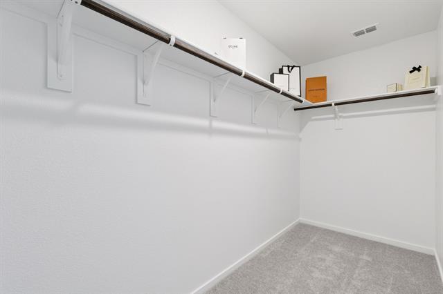 Building Photo - 3008 Titan Spgs Dr
