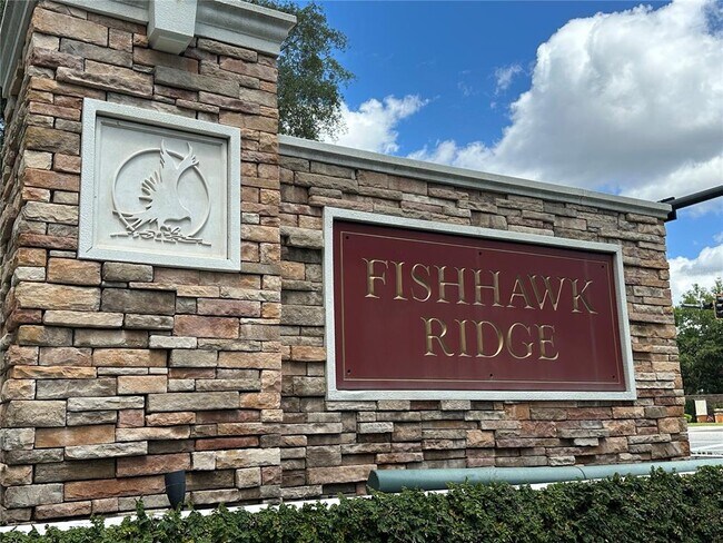 Building Photo - 15816 Fishhawk View Dr