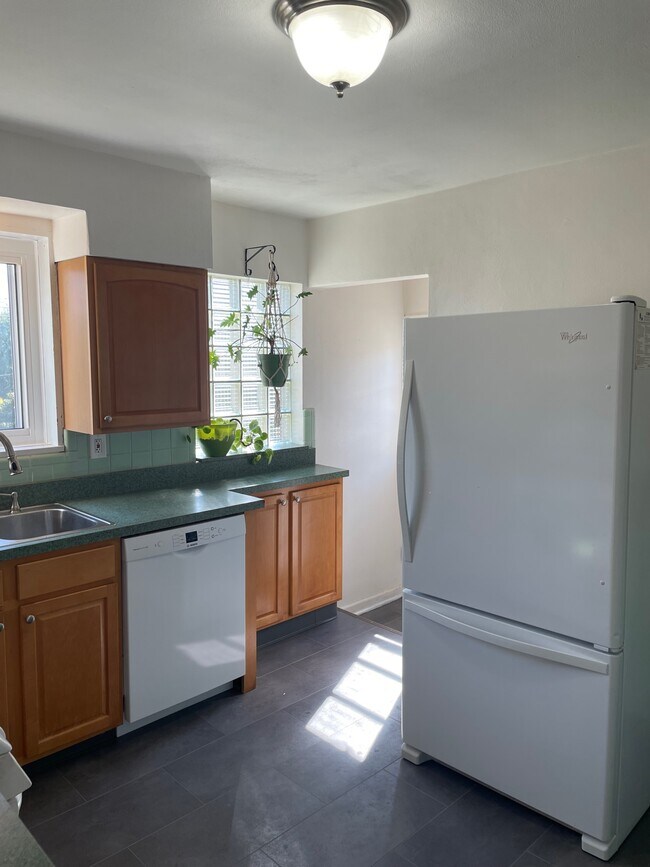 Kitchen with Bosch dishwasher - 9404 High Hill Ct