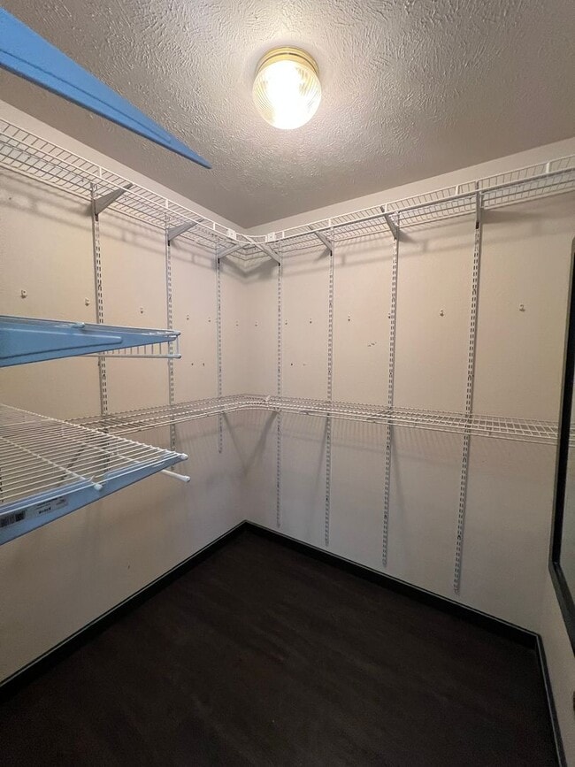 Building Photo - Spacious Basement Home with Breathtaking V...