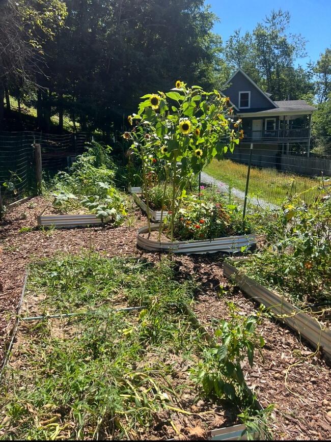 Building Photo - 567 W King St