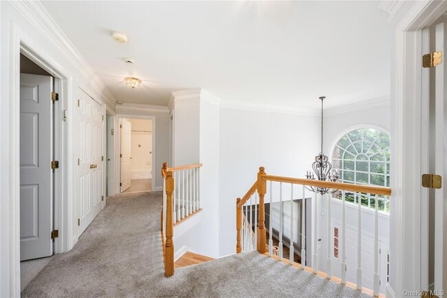 Building Photo - 46 McGuiness Ln