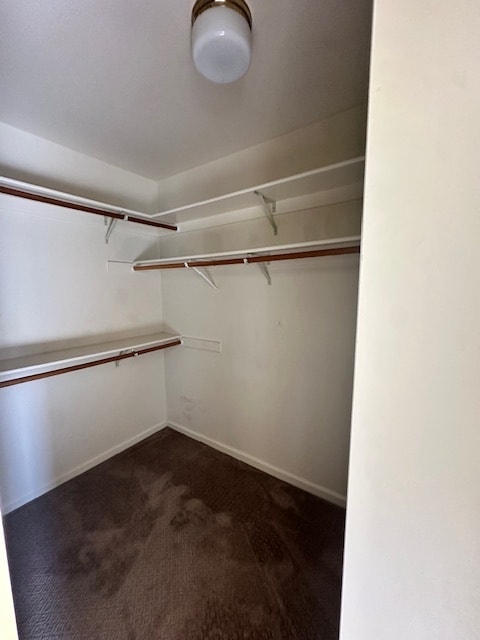 Building Photo - 1160 Ironwood Ct
