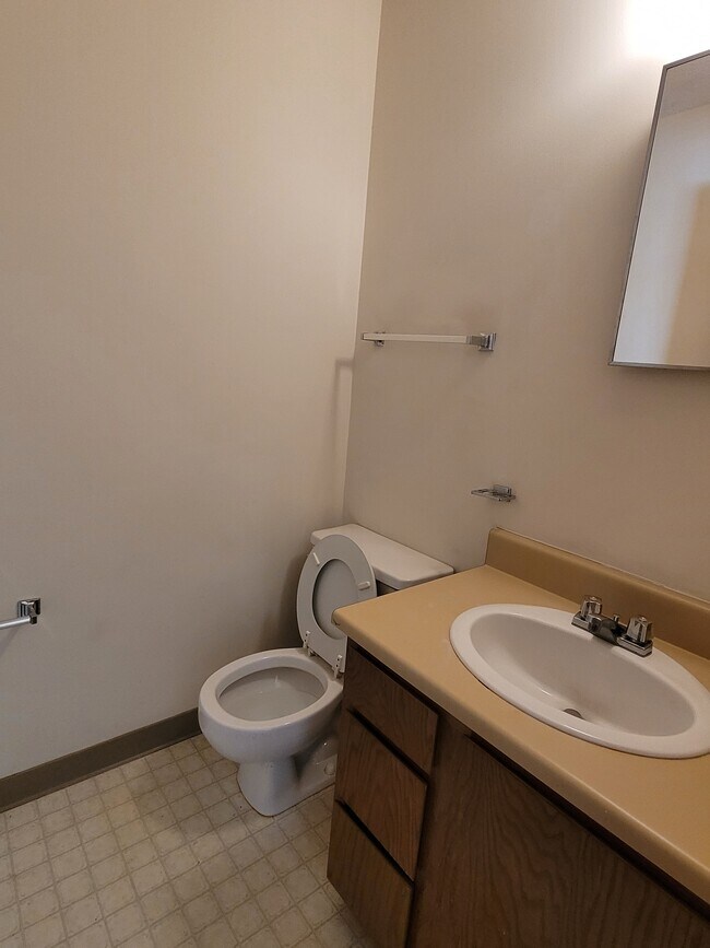 Half-bath in Master Bedroom - 135 Shagbark Ln